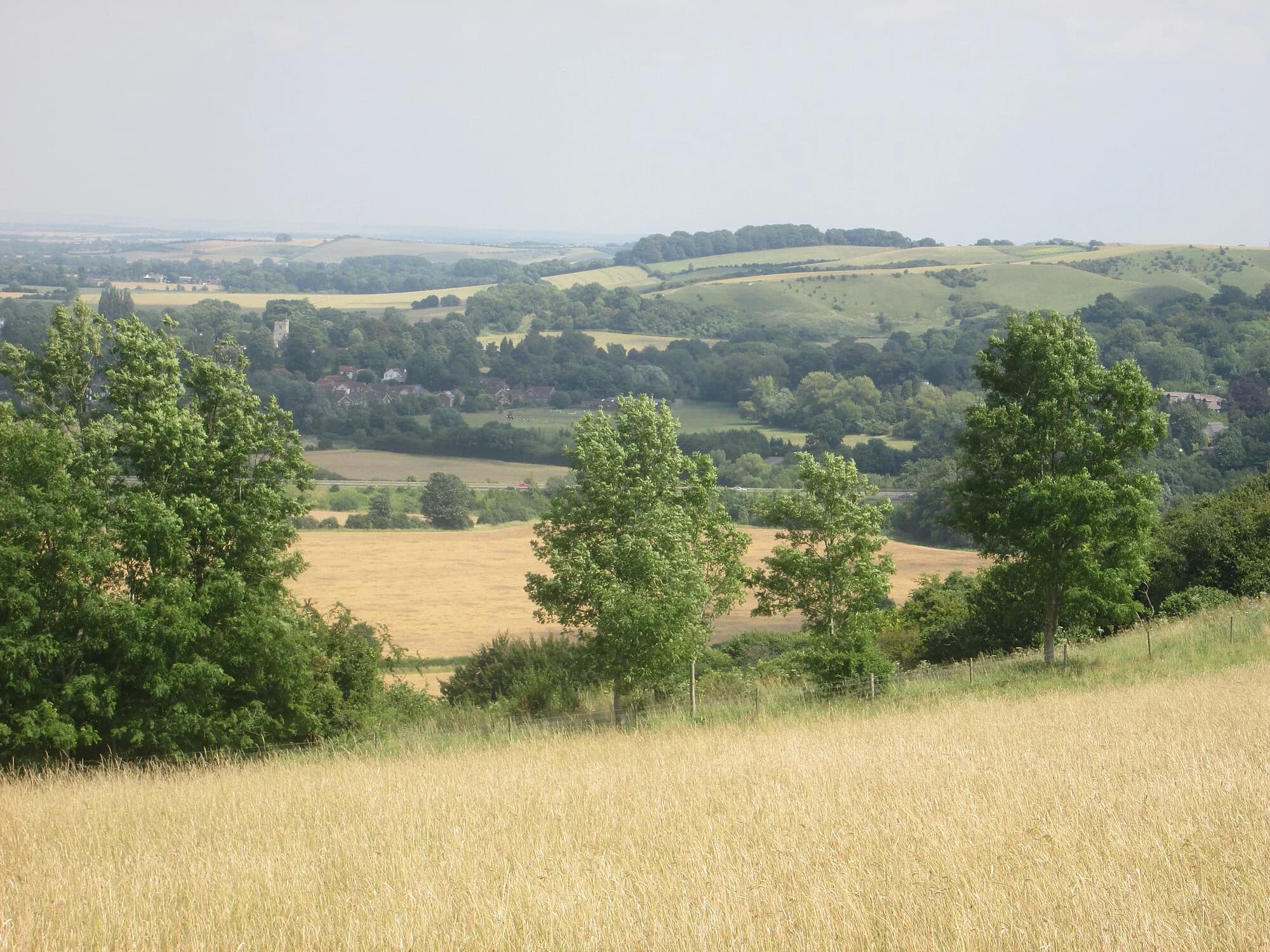 Vets in Barton-Le-Clay